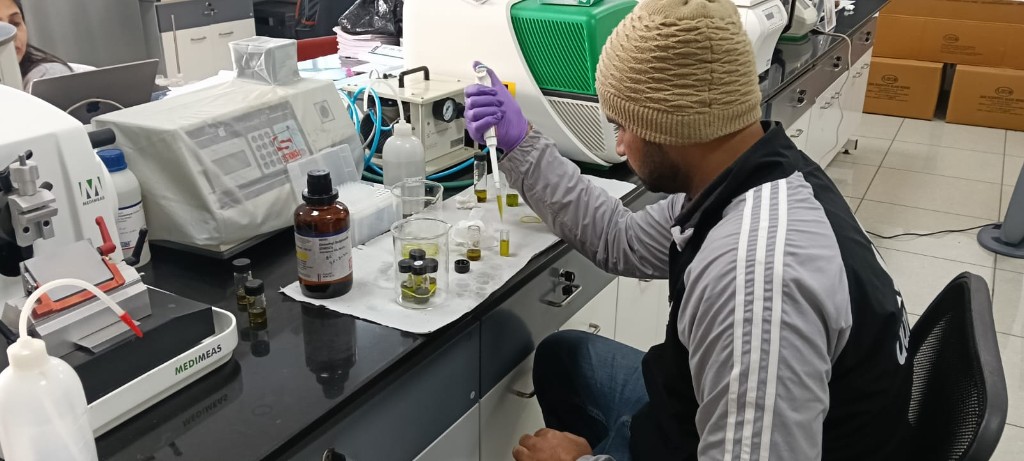 PG research scholar working in laboratory